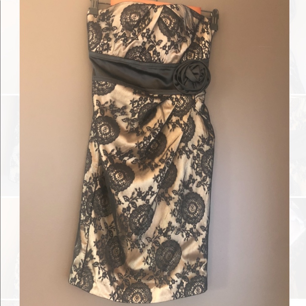 Sleek & Sheer Strapless Dress